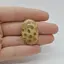 Cabochon Coral Fosilic 32x21x7mm C60