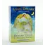 Pachet Carti de Tarot - Angel Dream Oracle Cards, 55 carti